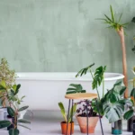 Which Plant is Best for Your Home