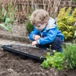 How to Grow a Garden Fast